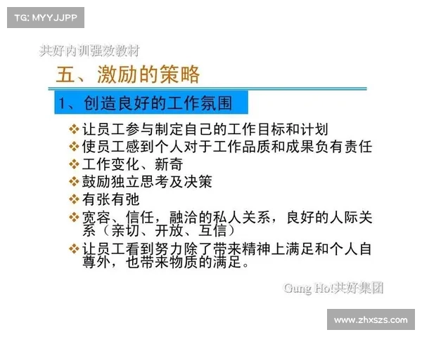 从理论到实战 深入解析强效位面精华的使用技巧与策略