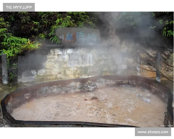 探秘御龙在天热泉养生之旅的独特魅力与神秘体验 探秘御龙在天热泉养生之旅的独特魅力与神秘体验
