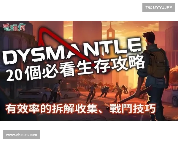 提升冰洁师战斗效率与生存能力的策略与技巧分析