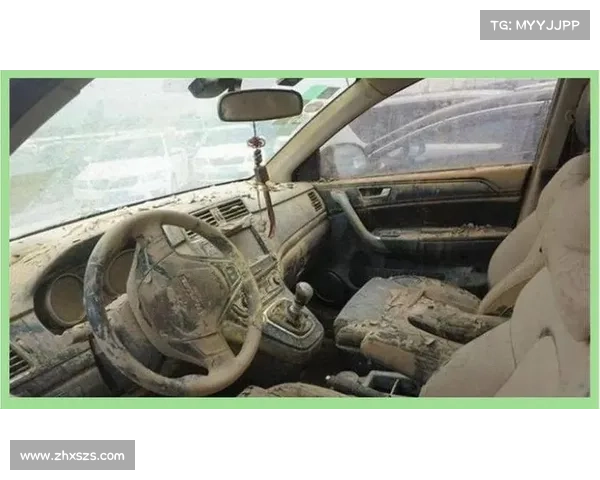 如何准备踏上外域征途从选择目标到应对挑战的全方位指南