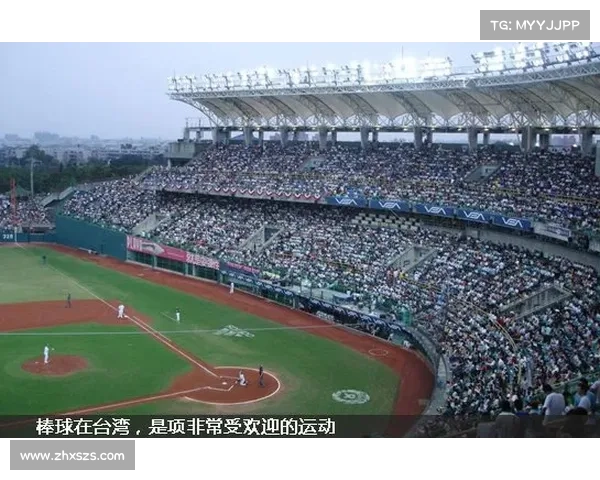 大卫路易斯球场位置分析及其对球队战术与观众体验的深远影响