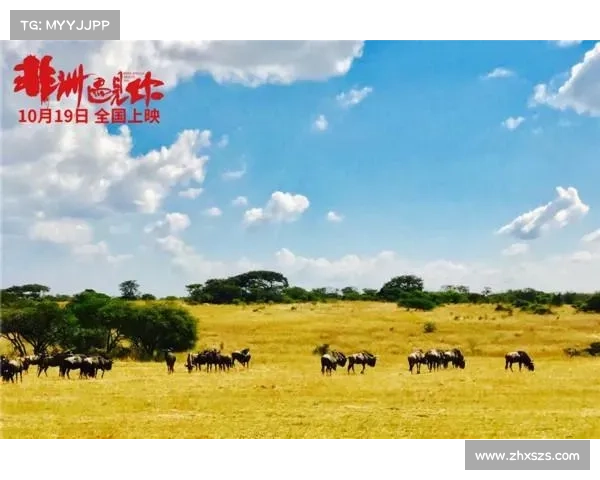 回顾2023法国对阵波兰的关键时刻与比赛亮点深度解析全景呈现