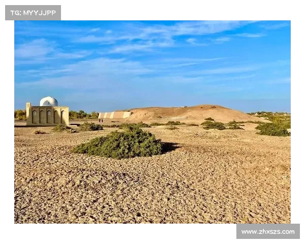 探秘阿库尼亚未上场的幕后故事与他职业生涯的心路历程